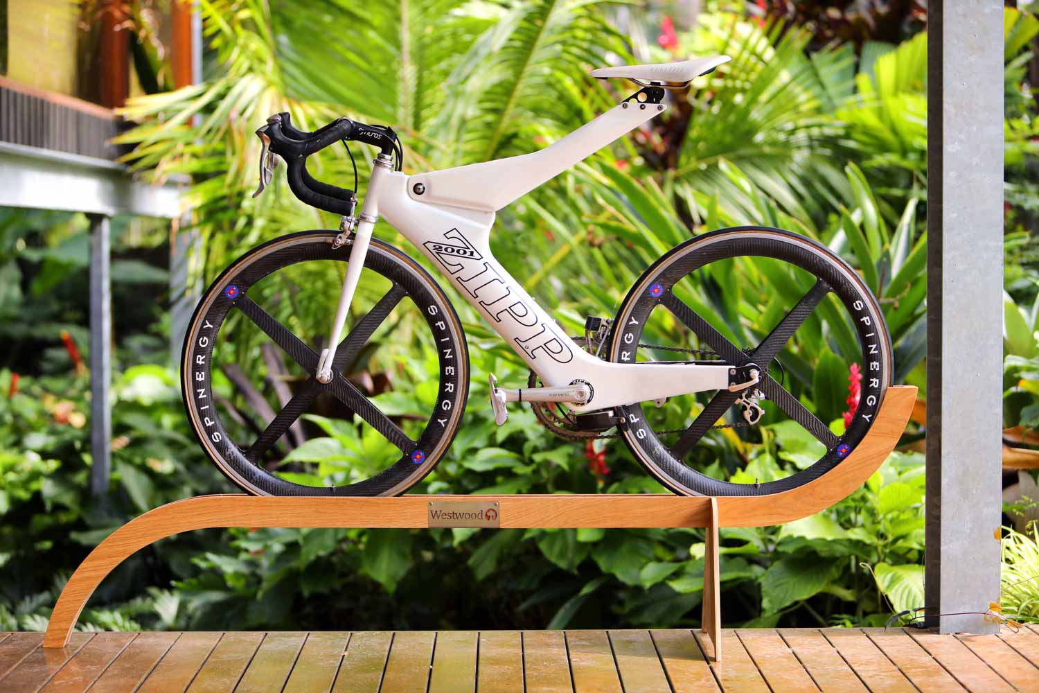 Westwood on sale bike stand